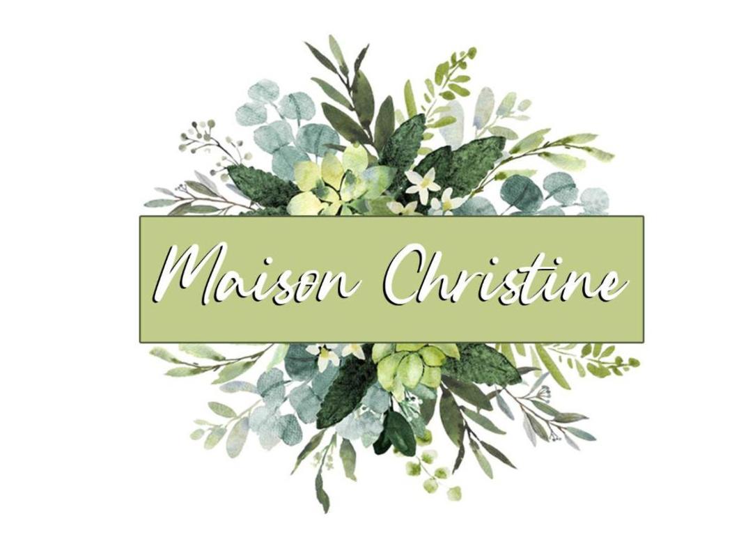 Maison Christine Torino Eksteriør billede